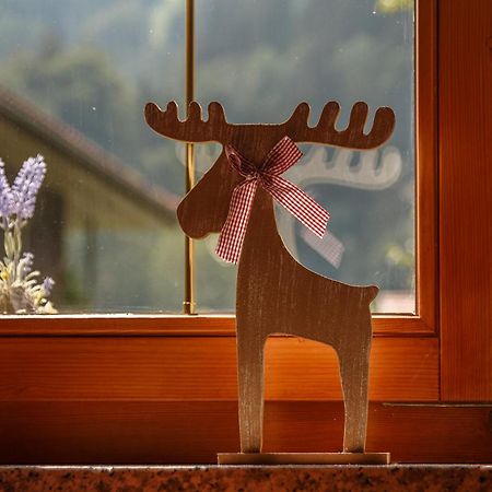 Montafon Alpen Chalet 万丹斯 外观 照片