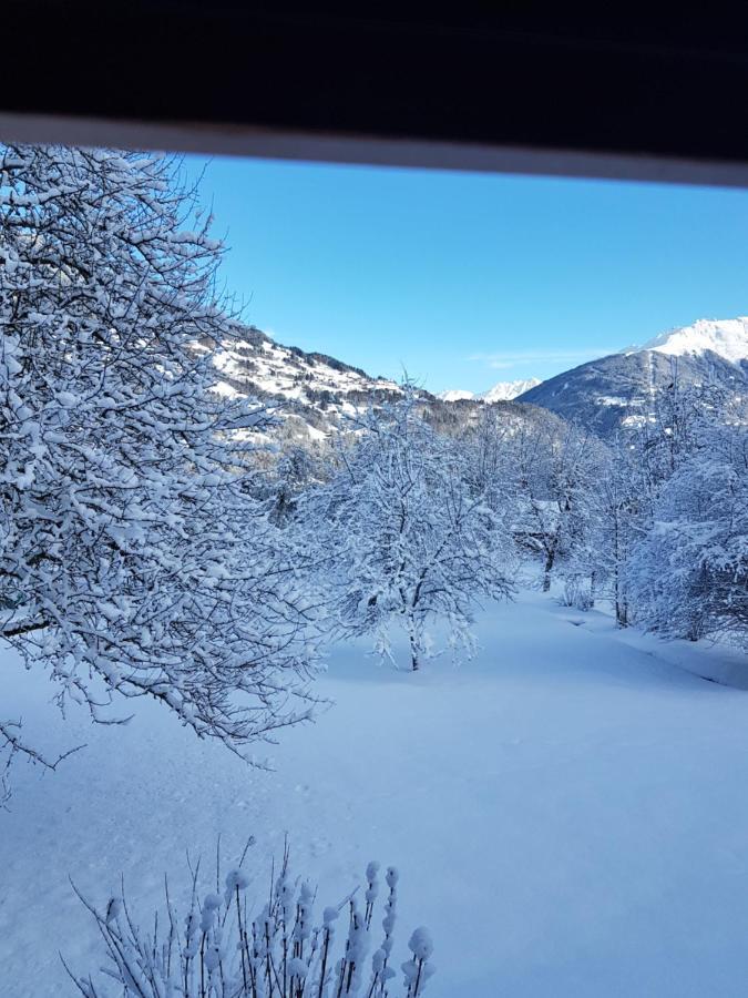 Montafon Alpen Chalet 万丹斯 外观 照片